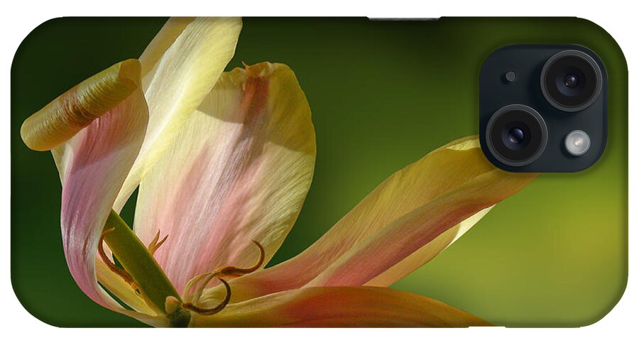 Flower iPhone Case featuring the photograph 4188 by Peter Holme III