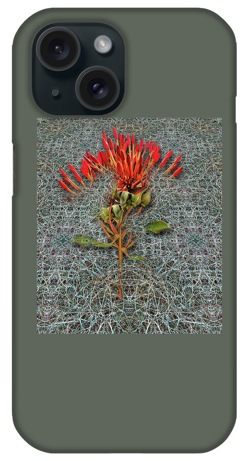 Flowers iPhone Case featuring the photograph 4400 by Peter Holme III