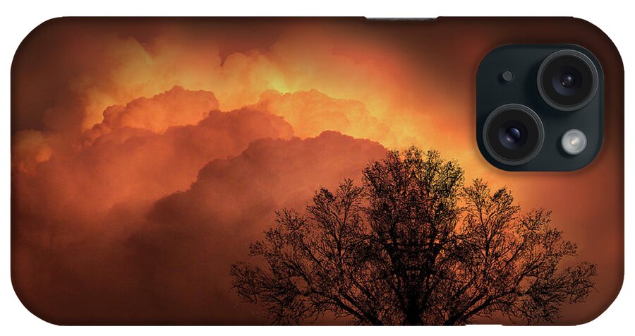 Animal iPhone Case featuring the photograph 4491 by Peter Holme III