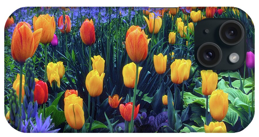 Tulips iPhone Case featuring the photograph Procession of Tulips by Jessica Jenney