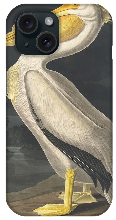 Audubon iPhone Case featuring the drawing American White Pelican #5 by Dreyer Wildlife Print Collections 