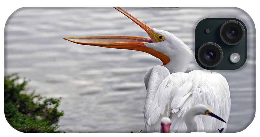 White Pelican iPhone Case featuring the photograph American White Pelican #5 by Winston D Munnings
