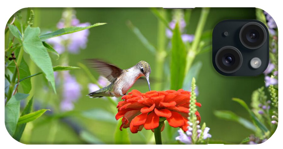 Humming Bird iPhone Case featuring the photograph Humming Bird #5 by Lila Fisher-Wenzel
