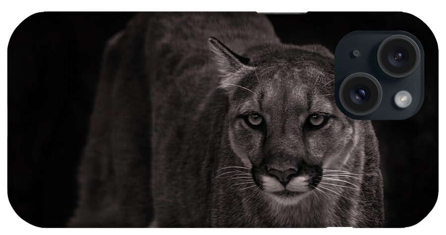 Animal iPhone Case featuring the photograph Mountain Lion #5 by Brian Cross