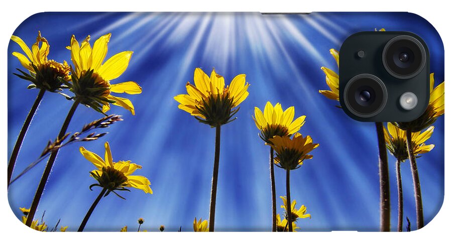 Yellow iPhone Case featuring the photograph Summer Time Flowers #5 by Lane Erickson