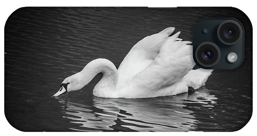 D90 iPhone Case featuring the photograph Swan #5 by Mariusz Talarek