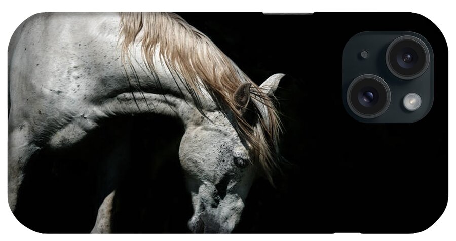 Horse iPhone Case featuring the photograph Untitled #5 by Ryan Courson