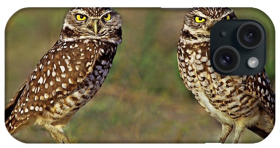 Dave Welling iPhone Case featuring the photograph 563977016 Burrowing Owls Athene Cunicularia Wild Florida by Dave Welling