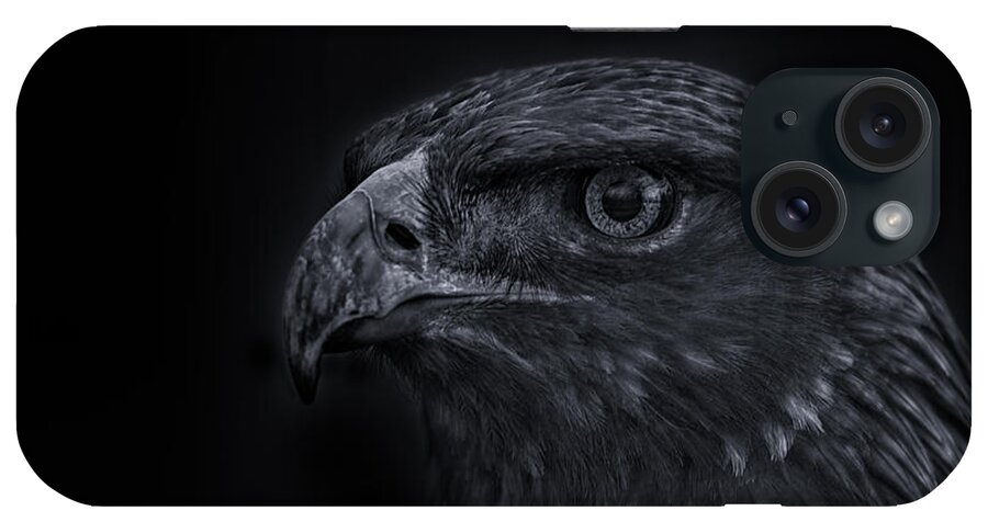 Animal iPhone Case featuring the photograph Golden Eagle #6 by Brian Cross