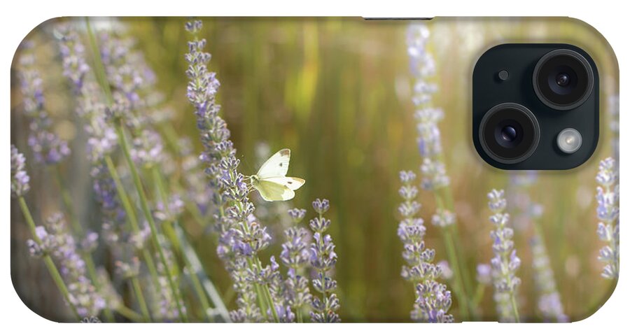 Animal iPhone Case featuring the photograph Pieris brassicae, the large white, also called cabbage butterfly #6 by Amanda Mohler