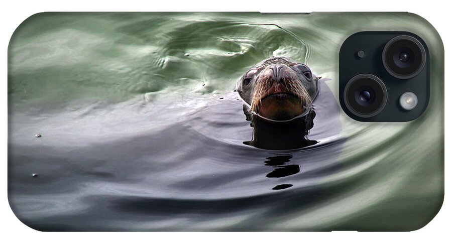 Harbor Seal iPhone Case featuring the photograph San Francisco, California #6 by Wernher Krutein