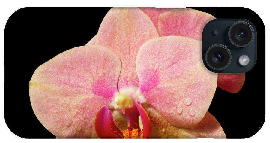 Flowers iPhone Case featuring the photograph Stunning Orchids #6 by David French