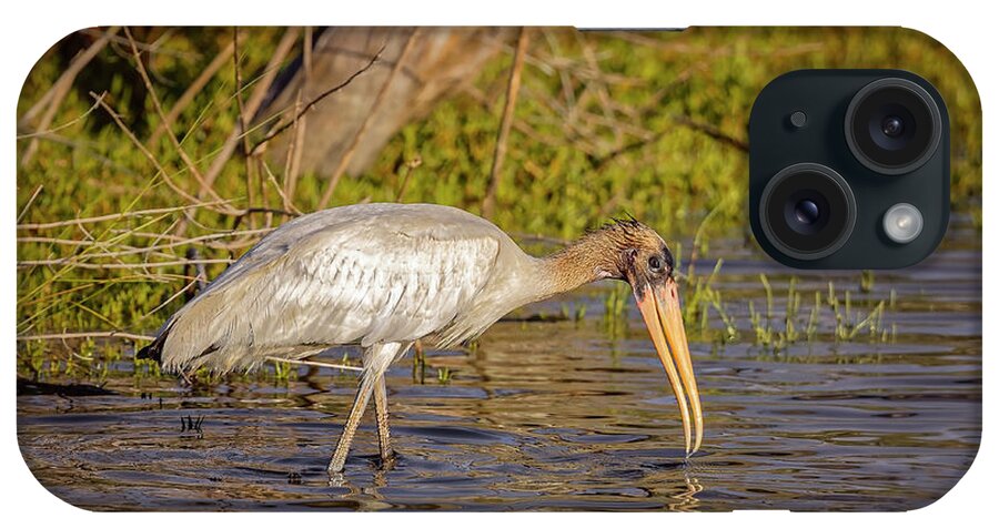 Big Talbot Island iPhone Case featuring the photograph Wood Stork #6 by Peter Lakomy