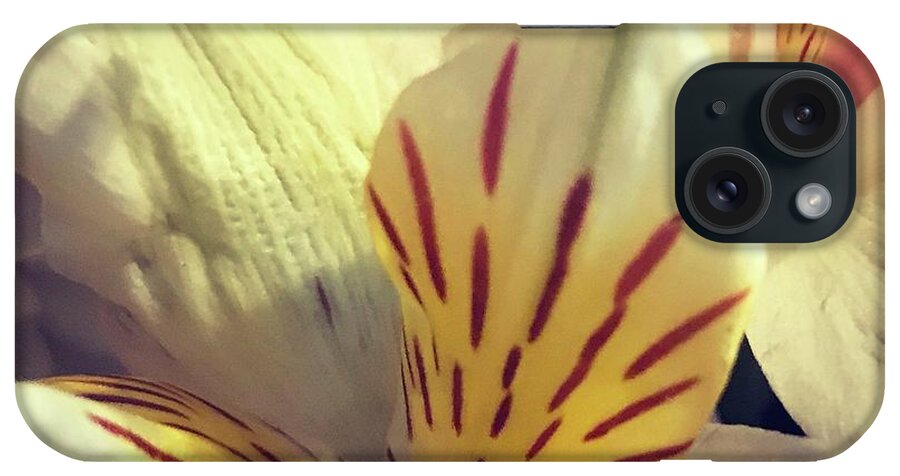 Yellow iPhone Case featuring the photograph Flowers #62 by Deena Withycombe