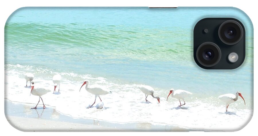 Birds iPhone Case featuring the photograph 7 by Alison Belsan Horton