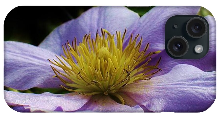 Flora iPhone Case featuring the photograph Bathing in the Sun #7 by Bruce Bley