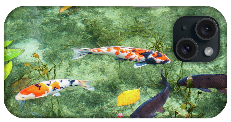 Colored Carp iPhone Case featuring the photograph Colored Carp at Monet's pond #7 by Hisao Mogi