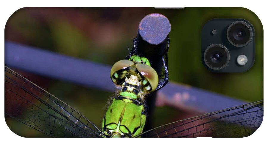 Photograph iPhone Case featuring the photograph Dragonfly #7 by Larah McElroy