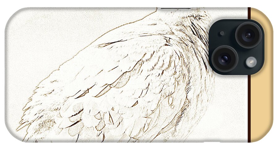 Color iPhone Case featuring the photograph Mourning Dove, Animal Portrait #8 by A Macarthur Gurmankin