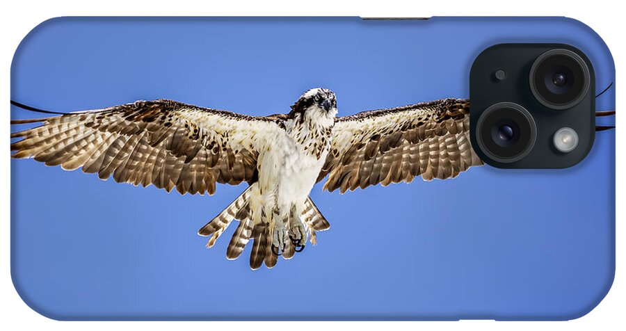 Naples iPhone Case featuring the photograph Osprey #7 by Peter Lakomy