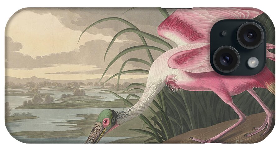 Roseate Spoonbill iPhone Case featuring the painting Roseate Spoonbill by John James Audubon