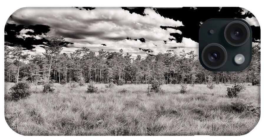 Everglades iPhone Case featuring the photograph Florida Everglades #8 by Raul Rodriguez