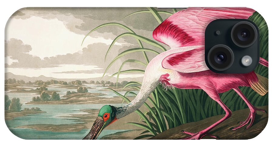Roseate Spoonbill iPhone Case featuring the painting Roseate Spoonbill #8 by John James Audubon