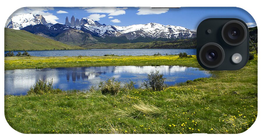 Patagonia iPhone Case featuring the photograph Springtime in Torres del Paine #8 by Michele Burgess