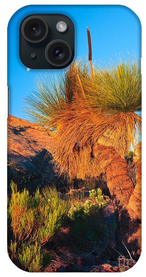 Wilpena Pound St Mary Peak Filinders Ranges South Australia Australain Landscape Landscapes Outback Moon Xanthorhoea iPhone Case featuring the photograph Wilpena Pound #8 by Bill Robinson