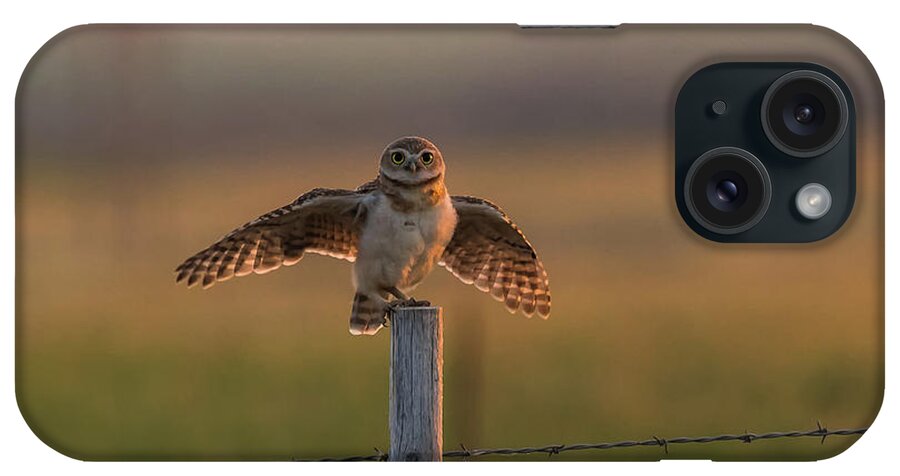Burrowing Owlet iPhone Case featuring the photograph A Balancing Act by Yeates Photography