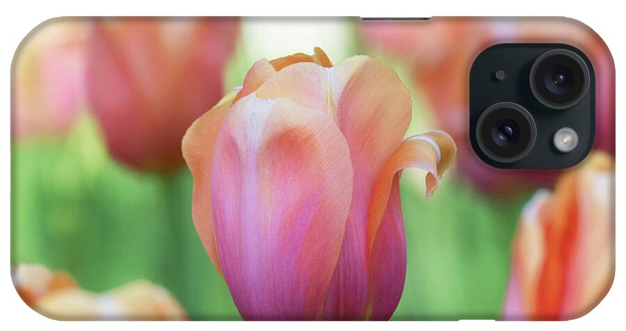 Beautiful iPhone Case featuring the photograph A bed of tulips is a feast for the eyes. by Usha Peddamatham