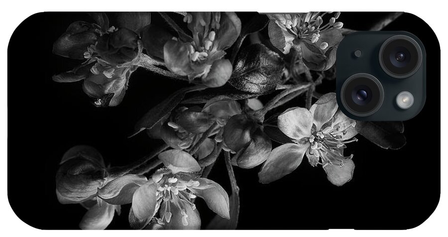 Flower iPhone Case featuring the photograph A Black And White Spring by Mike Eingle