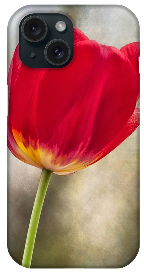 Flower iPhone Case featuring the photograph A Bold Red Embrace by Bill and Linda Tiepelman