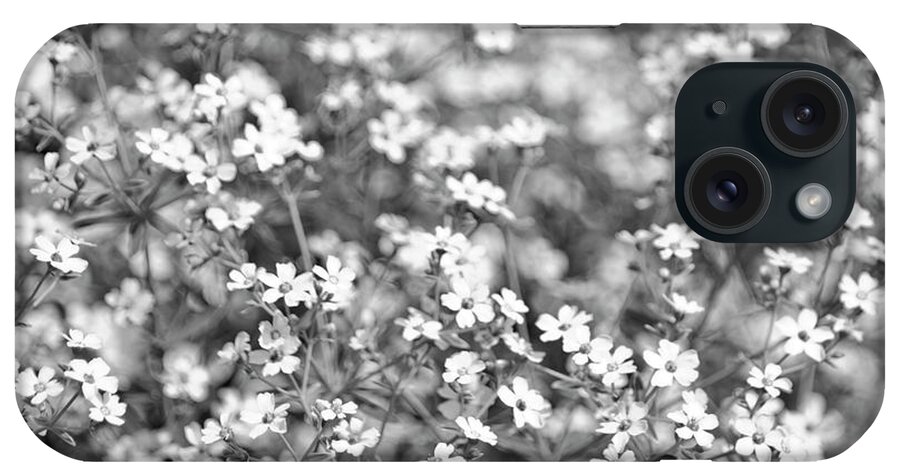 Flowers iPhone Case featuring the photograph A Breath of Summer by Henri Irizarri