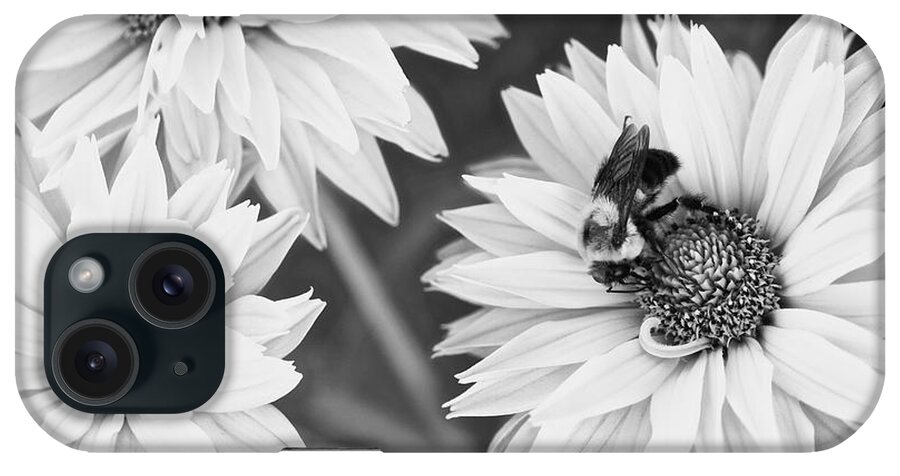 Bumblebee iPhone Case featuring the photograph A Bumblebee by Rachel Morrison