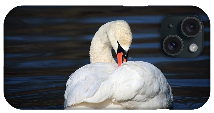 Swan iPhone Case featuring the photograph A Busy Swan by Karol Livote