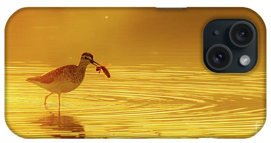 Nature iPhone Case featuring the photograph A Catch by Jivko Nakev