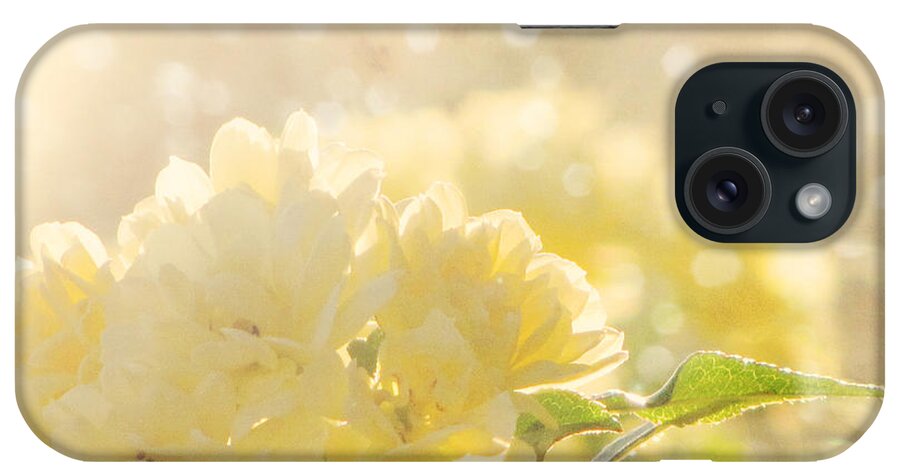 Flower Photography iPhone Case featuring the photograph A Chance of Showers by Amy Tyler