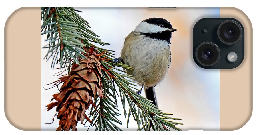 Chickadee iPhone Case featuring the photograph A Christmas Chickadee by Rodney Campbell