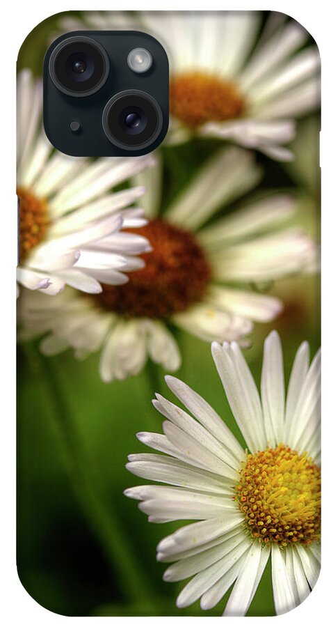 Wild Daisies iPhone Case featuring the photograph A Daisy Kind Of Day by Mike Eingle