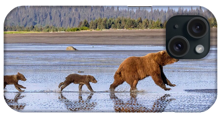 Bears iPhone Case featuring the photograph A Day At the Beach by Jack Bell