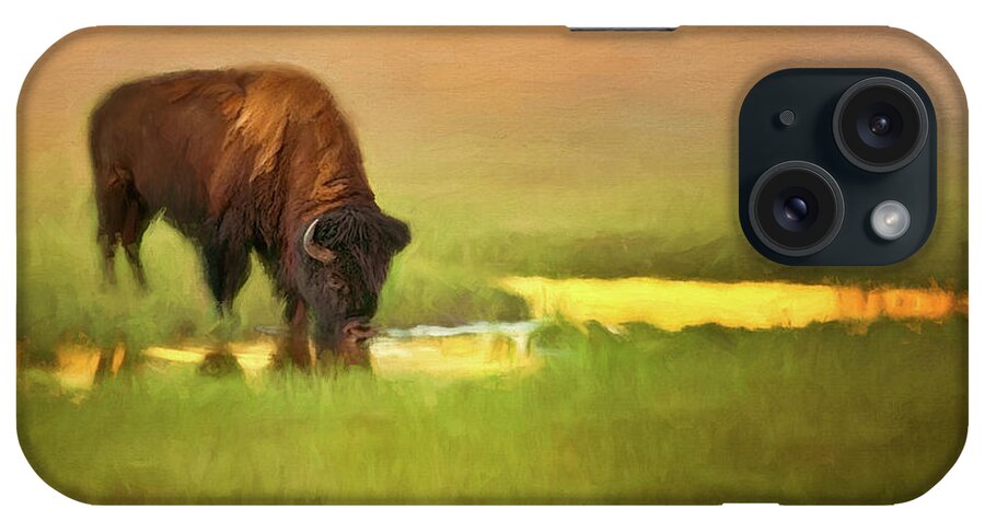 Bison iPhone Case featuring the photograph A Drink At Sunset by Debra Boucher