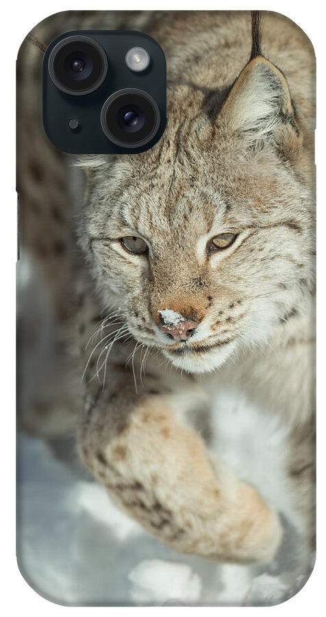 Alaska iPhone Case featuring the photograph A Eurasian Lynx in Snow by Andy Astbury