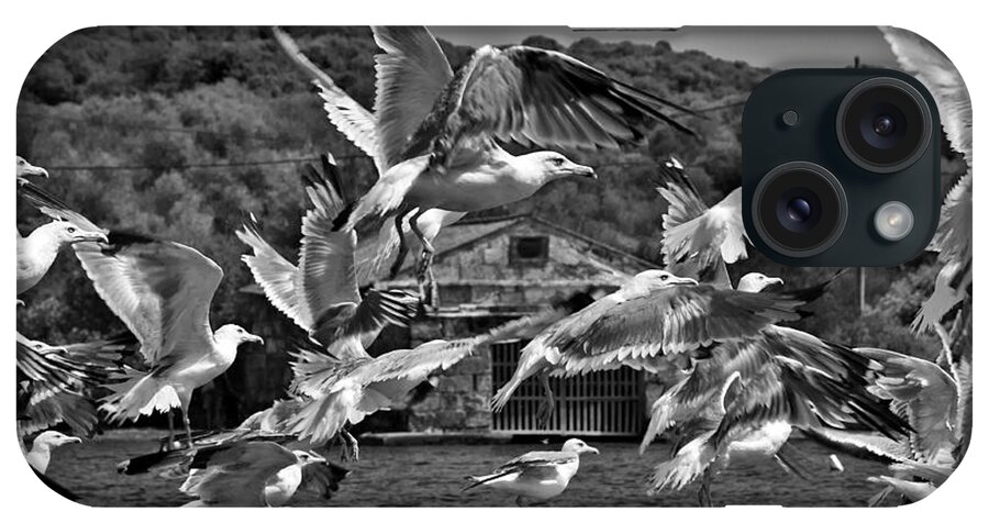 Outdoor iPhone Case featuring the photograph A flock of seagulls flying high to summer sky by Pedro Cardona Llambias