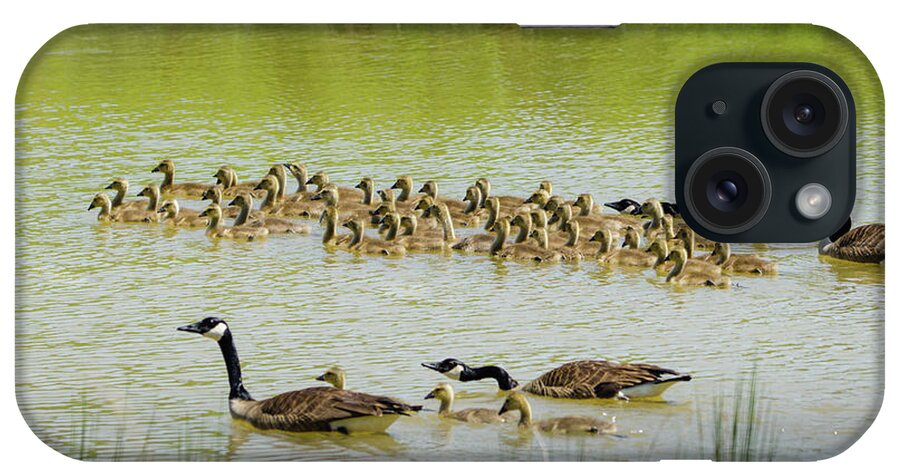 Flotilla iPhone Case featuring the photograph A Flotilla Of Geese by Paul Mashburn