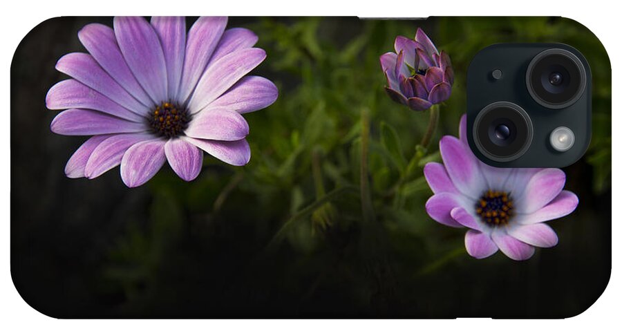 Purple iPhone Case featuring the photograph A Garden To Remember II by Al Bourassa