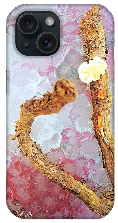 Fungus iPhone Case featuring the photograph A Gift from Nature by Ellen Levinson