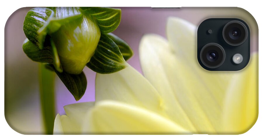 Yellow Dahlia iPhone Case featuring the photograph A Look into Adulthood by Wanda Brandon
