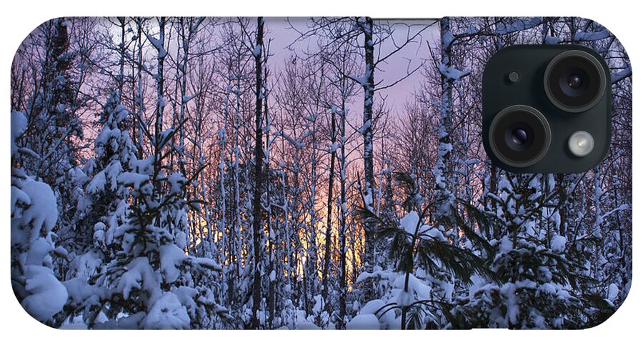  iPhone Case featuring the photograph A Hidden Trail by Dan Hefle