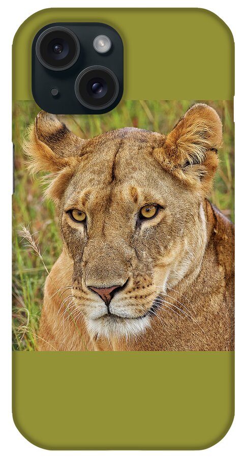 Africa iPhone Case featuring the photograph A Lioness in Kenya by Mitchell R Grosky